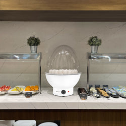 Podgrzewacz do jajek - biały - na 37 jajek