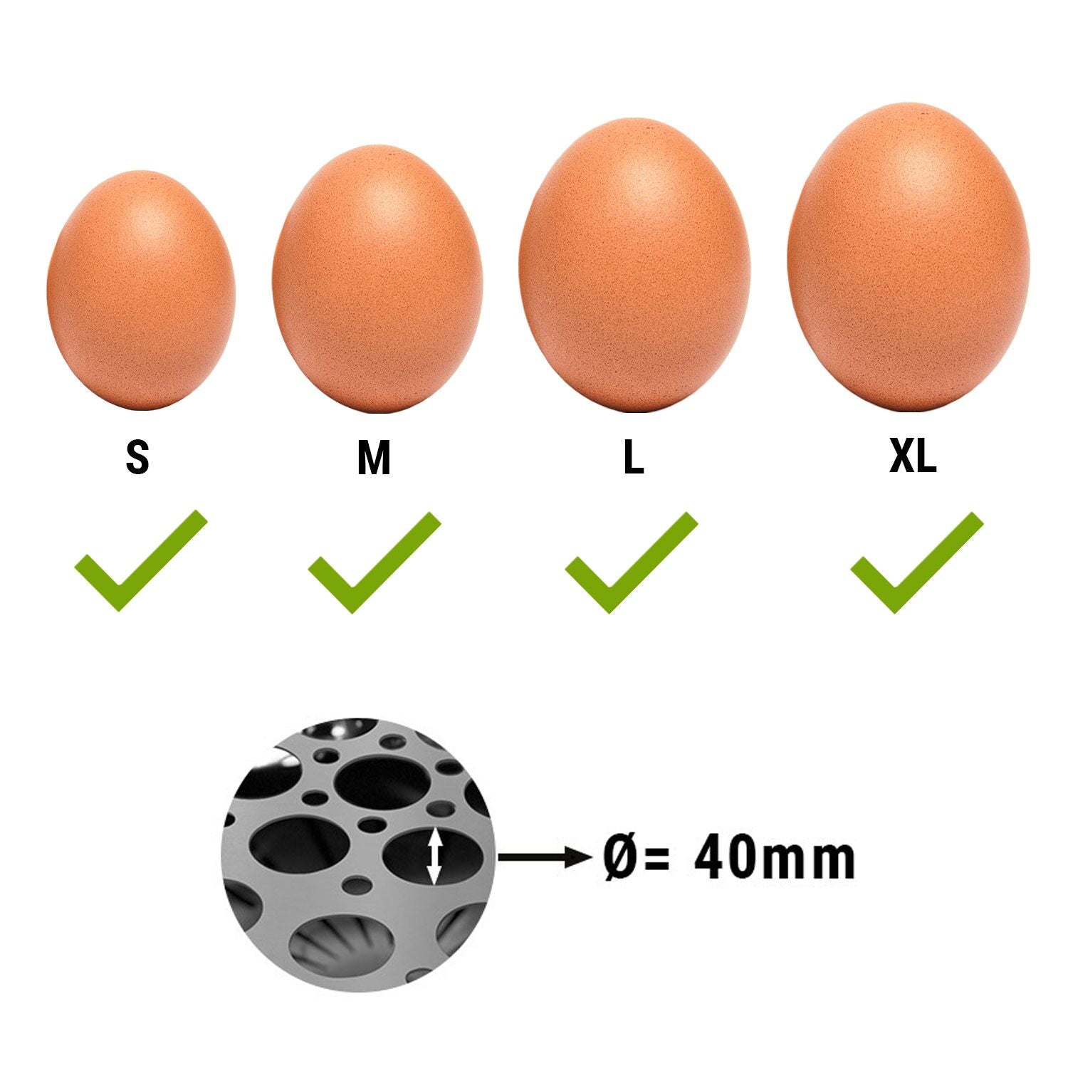 EK_detail_egg_size.jpg