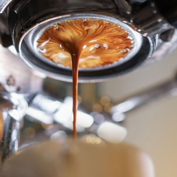 Ekspres do kawy z portafiltrem "Grace" - z wyświetlaczem cyfrowym - 2 grupy - włącznie z systemem wstępnej infuzji - czarny - Prime Gastro