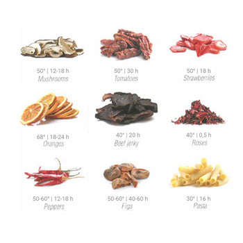 Suszarka do żywności / odwadniacz - włącznie z 6 tacami do suszenia - Prime Gastro