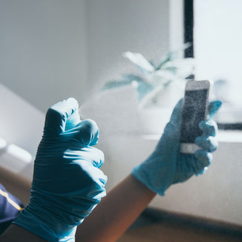 Dezynfekcja ekranu dotykowego - 250 ml - Prime Gastro