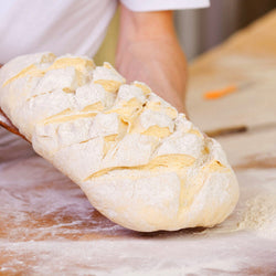 Chłodziarka piekarnicza ze stali nierdzewnej PREMIUM - EN 60x80 - 600 litrów - z 1 drzwiami