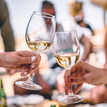 Chłodziarka do wina - 2 strefy klimatyczne - 450 litrów - maks. 160 butelek - Prime Gastro