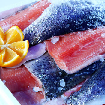 Podstawa chłodnicza PREMIUM PLUS - 1000 mm - 100 litrów - 2 szuflady - Prime Gastro