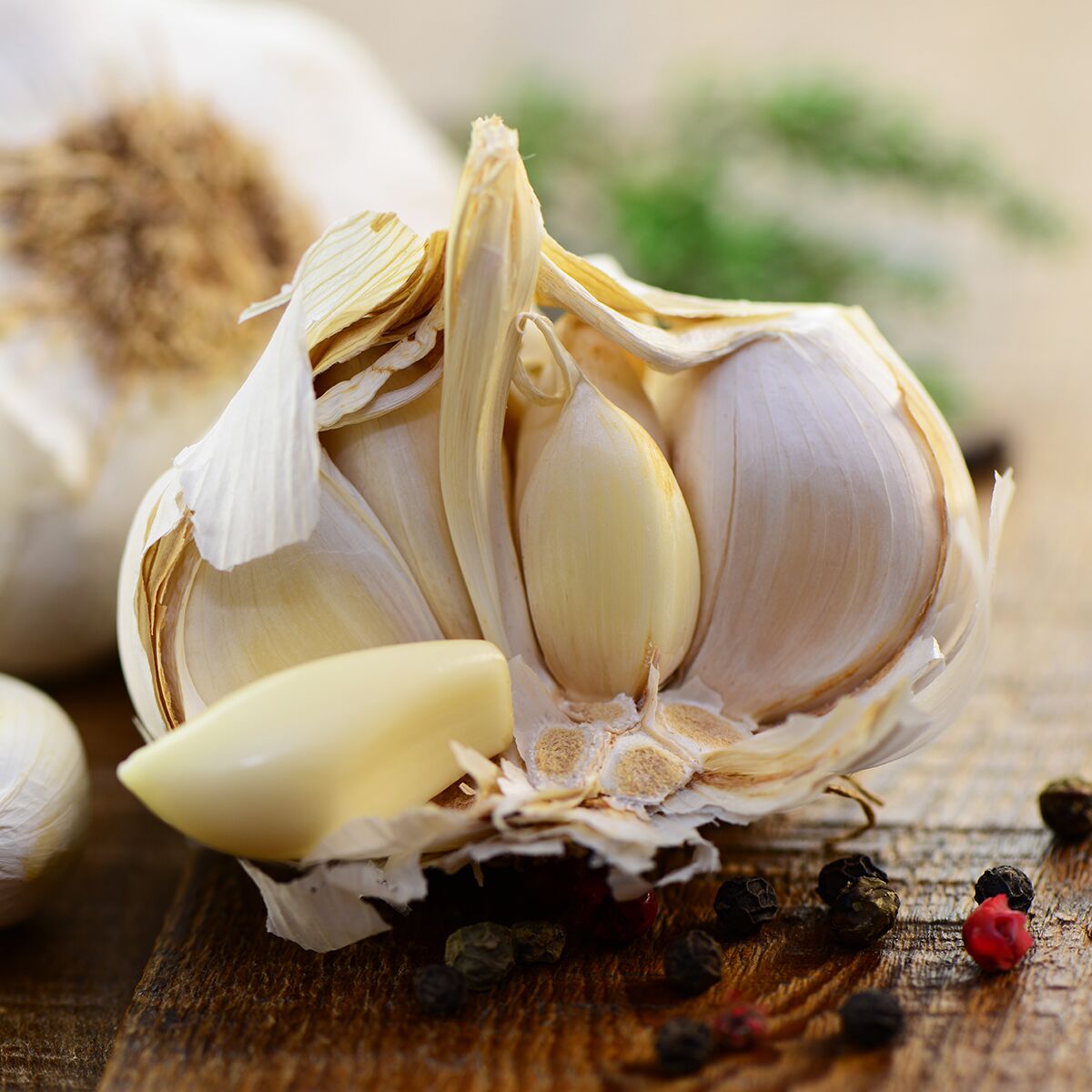 knoblauch.jpg