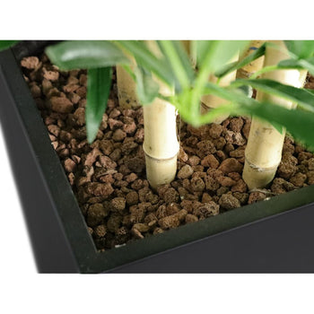 Bambus - Prime Gastro