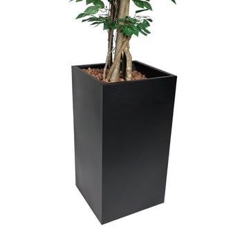 Fikus - Prime Gastro