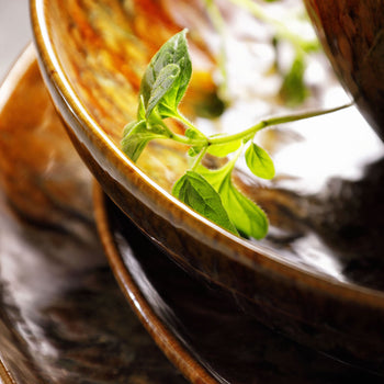 (6 sztuk) RUSTIQUE - Talerz głęboki - Ø 21 cm - Brązowy - Prime Gastro