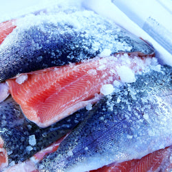 Chłodziarka do ryb ze stali nierdzewnej PREMIUM - 400 litrów - z 1 drzwiami