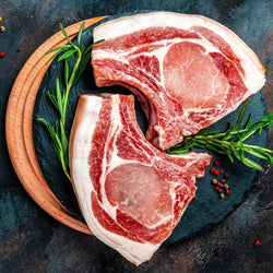 Piła do kości – taśma piły 1900 mm – maks. wysokość cięcia: 254 mm