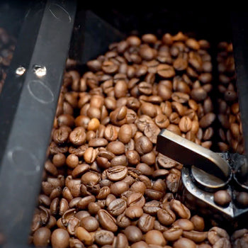 W pełni automatyczny ekspres do kawy - 1,3 kW - 10-calowy ekran dotykowy - włącznie z podgrzewaczem do filiżanek - Prime Gastro