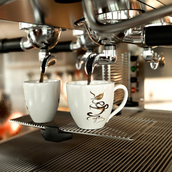 Ekspres do kawy z portafiltrem - 2 grupy - włącznie z systemem wstępnej infuzji - Prime Gastro