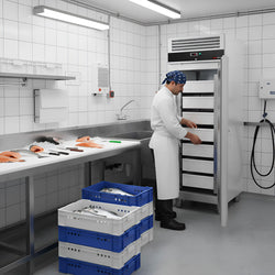 Zamrażarka do ryb ze stali nierdzewnej ECO - EN 60x40 - 600 litrów - z 1 drzwiami