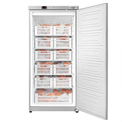 Zamrażarka magazynowa ze stali nierdzewnej ECO – 600 litrów – z 1 drzwiami i 11 koszami – wnętrze drzwi z tworzywa sztucznego