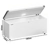 LIEBHERR commercial chest freezer - 542 litres - plastic lid