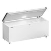 LIEBHERR commercial chest freezer - 542 litres - plastic lid
