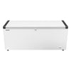 LIEBHERR commercial chest freezer - 542 litres - plastic lid