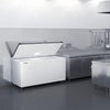 LIEBHERR commercial chest freezer - 542 litres - stainless steel lid