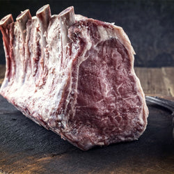 Szafa do dojrzewania mięsa metodą dry aging – 680 mm – 1 szklane drzwiczki – stal nierdzewna