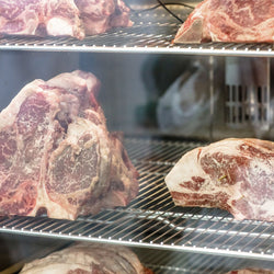 Szafa do dojrzewania mięsa metodą dry aging – 680 mm – 1 szklane drzwiczki – stal nierdzewna