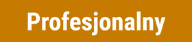 Profesjonalny