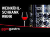 Panoramiczna Chłodziarka na wino - 1 strefa temperatury - 400L - maks. 81 butelek