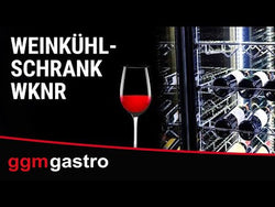 Panoramiczna Chłodziarka na wino - 1 strefa temperatury - 400L - maks. 81 butelek