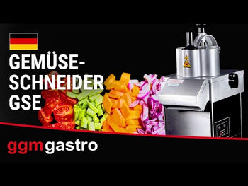 Electric vegetable slicer - 550 W - including 3 cutting discs