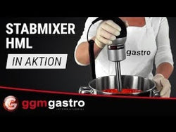 Blender ręczny ze stałym ramieniem miksującym 200 mm -250 W - 2 prędkości