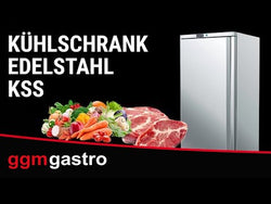 ECO stainless steel storage cooler - 400 liters - with 1 door