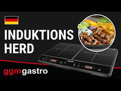 Mobile induction cooker - 3.5 kW - 2 hotplates