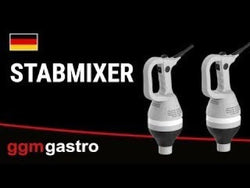 Hand blender including 350 mm mixing arm - 430 W - smooth speed regulation